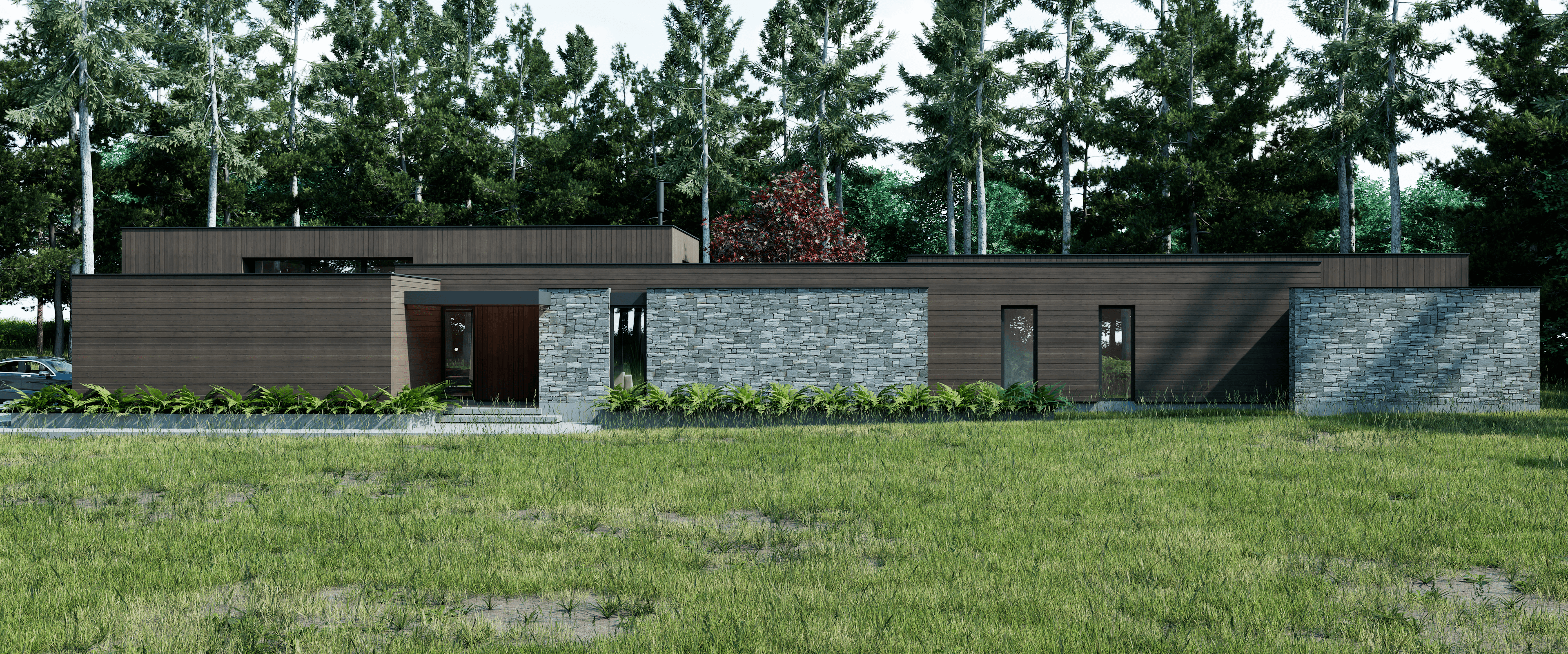 The House and The Tree